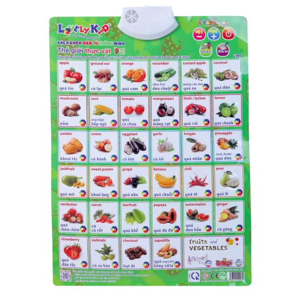 Bảng điện tử thông minh - Thế giới thực vật (LNV)