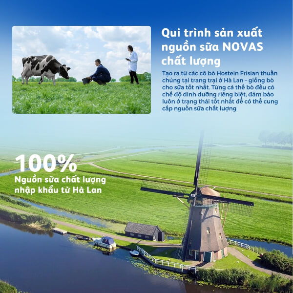 Combo 2 lon Friso Gold 4, 2 - 6 tuổi (850gr)