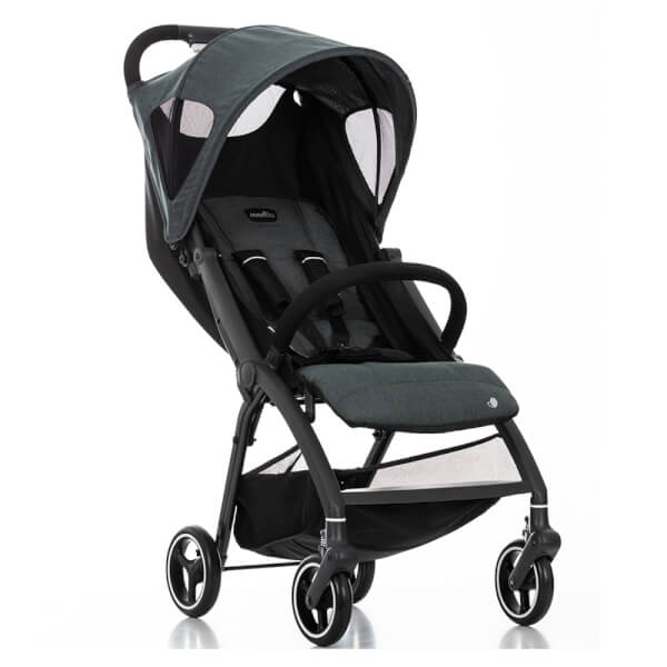 Xe đẩy cao cấp Evenflo D639S (màu xám)