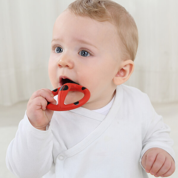 Bàn chải gặm nướu Mombella