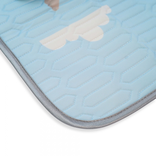 Chiếu điều hòa cao cấp cho bé Animo mèo vàng (60x120cm)