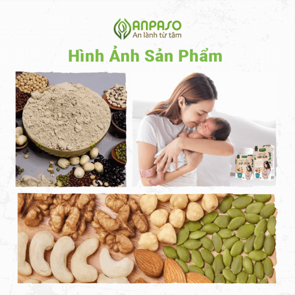 Ngũ cốc hạt An mầm lành Anpaso 500gr