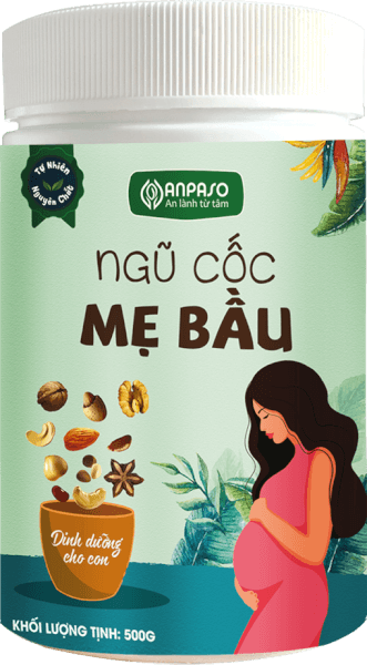 Ngũ cốc hạt Dưỡng mầm xanh Anpaso 500g