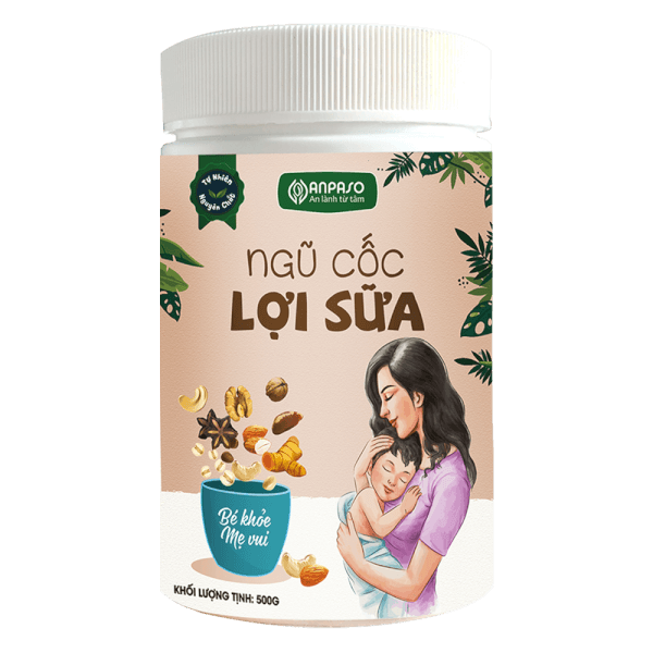Ngũ cốc hạt An mầm lành Anpaso 500gr