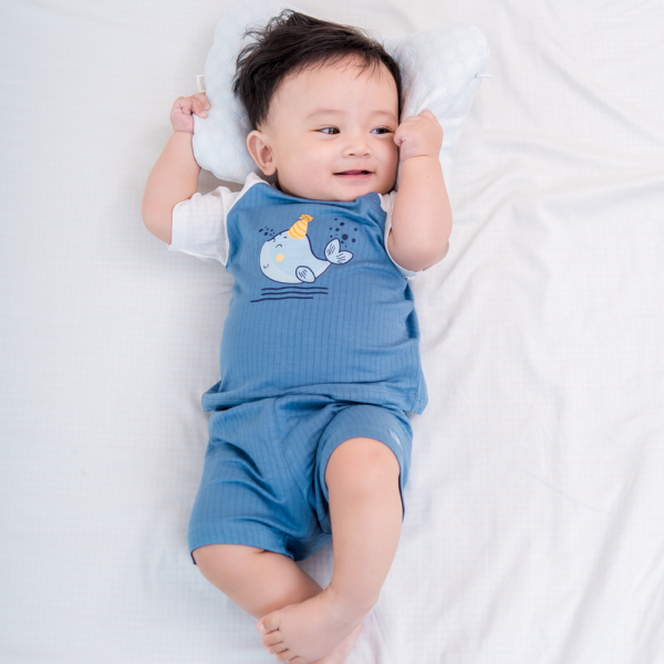 Bộ sơ sinh tính năng ngắn Chống muỗi Animo VĐ722014 (0-24M,Xanh)