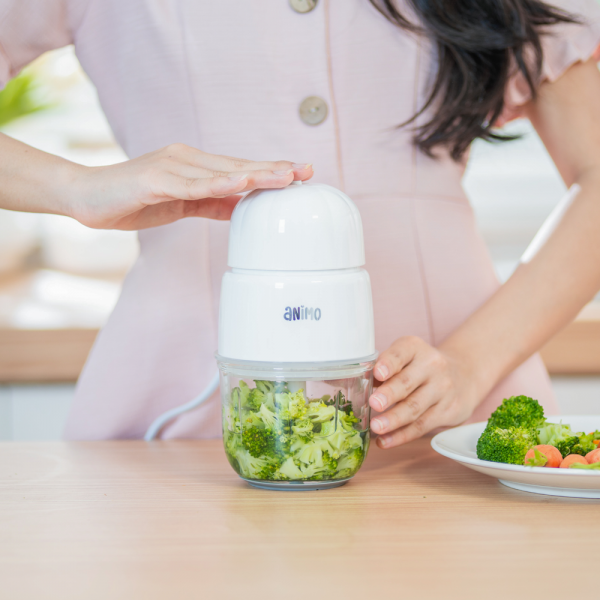 Máy xay đa năng Animo 0.3L (SW-MG8105)