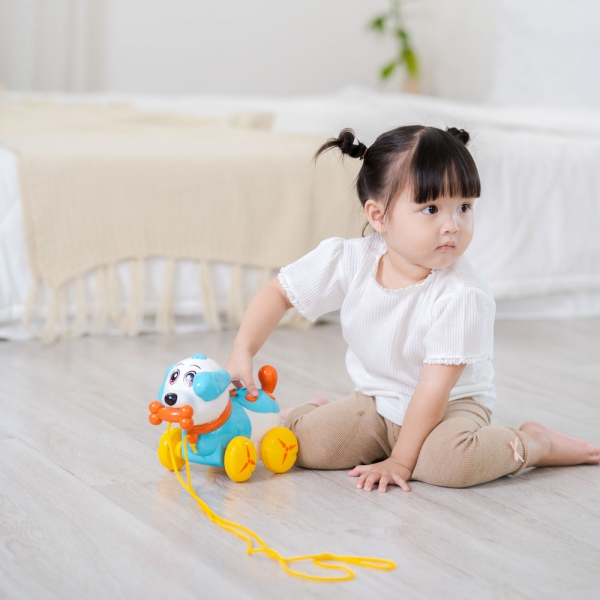 Đồ chơi chú chó thông minh có nhạc kèm dây kéo YN452562