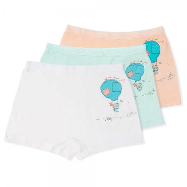 Combo 2 Bộ 3 quần lót bé gái đùi Animo VĐ223006 (2-6Y,Nhiều màu)