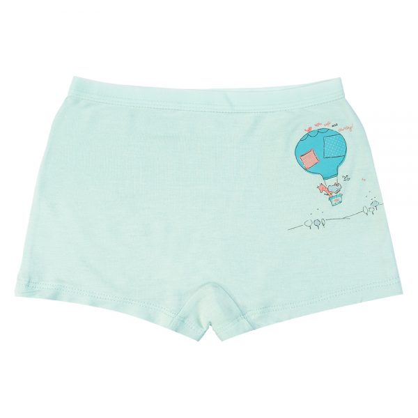 Combo 2 Bộ 3 quần lót bé gái đùi Animo VĐ223006 (2-6Y,Nhiều màu)