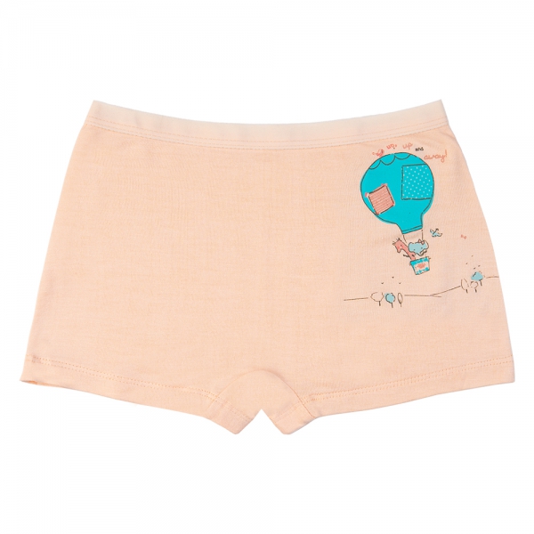 Combo 2 Bộ 3 quần lót bé gái đùi Animo VĐ223006 (2-6Y,Nhiều màu)