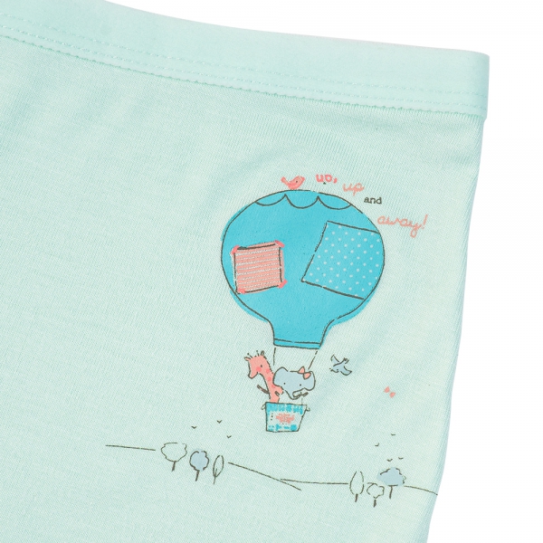 Combo 2 Bộ 3 quần lót bé gái đùi Animo VĐ223006 (2-6Y,Nhiều màu)