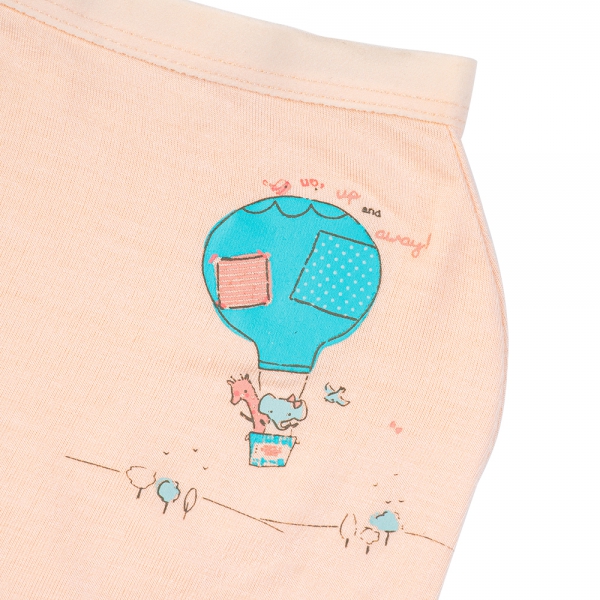 Combo 2 Bộ 3 quần lót bé gái đùi Animo VĐ223006 (2-6Y,Nhiều màu)