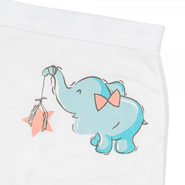 Bộ 3 quần lót bé gái đùi Animo VĐ223005 (2-6Y,Nhiều màu)