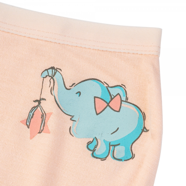 Bộ 3 quần lót bé gái đùi Animo VĐ223005 (2-6Y,Nhiều màu)