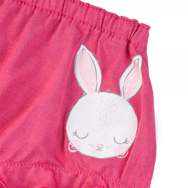 Bộ 3 quần lót bé gái tam giác Animo VĐ223003 (12M-4Y,Nhiều màu)