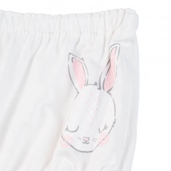 Bộ 3 quần lót bé gái tam giác Animo VĐ223003 (12M-4Y,Nhiều màu)