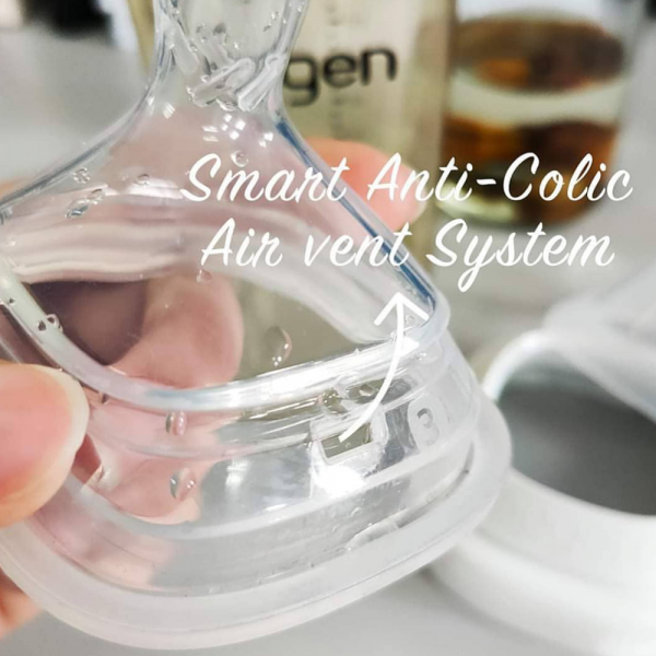 Núm ty Hegen L (6M+, 2 cái/hộp)