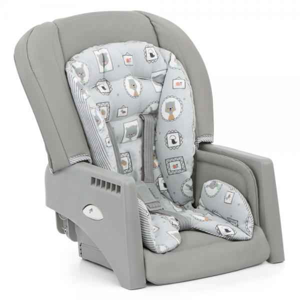 Ghế ăn trẻ em Joie Multiply 6in1 Portrait