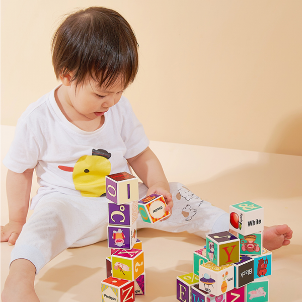 Bộ khối vuông học tập đa chủ đề 24pcs HW23162004 C402