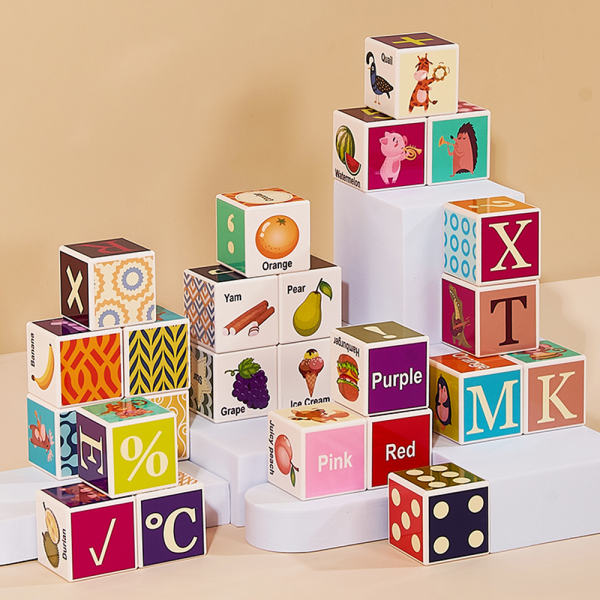 Bộ khối vuông học tập đa chủ đề 24pcs HW23162004 C402