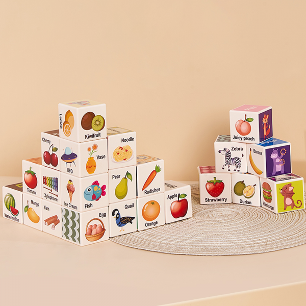 Bộ khối vuông học tập đa chủ đề 24pcs HW23162004 C402