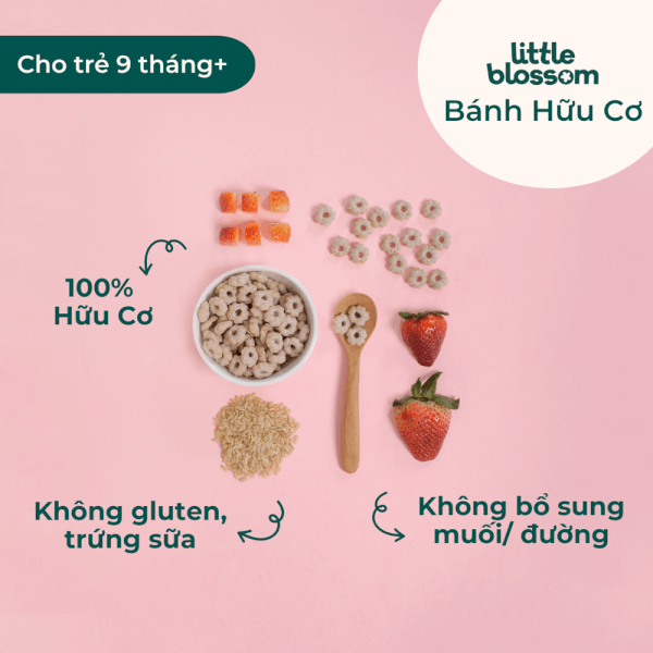 Bánh Puffs Gạo Lứt Hữu Cơ Little Blossom Vị Dâu 40g