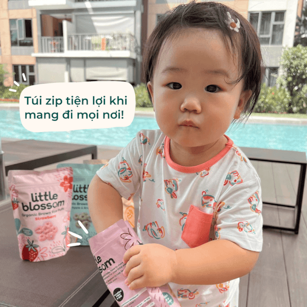Bánh Puffs Gạo Lứt Hữu Cơ Little Blossom Vị Dâu 40g