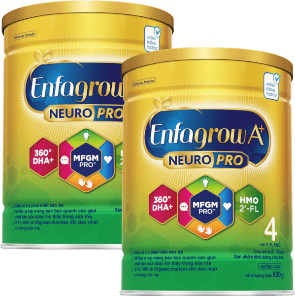 Combo 2 Sữa Enfagrow A+ số 4 830g (2-6 tuổi) 2Flex