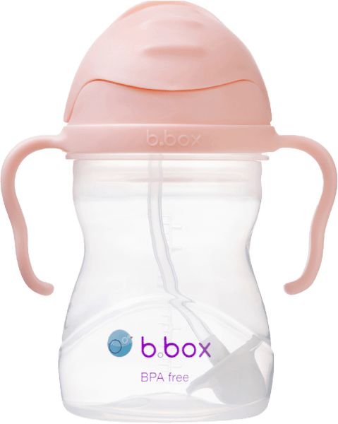 Bình nước 360 độ cho bé tập uống nước Bbox 240ml (màu cam pastel, Bbox-521)