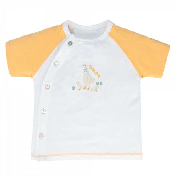 Set 2 Bộ modal kháng khuẩn ngắn Animo VD1024005 (0-24M,Vàng)