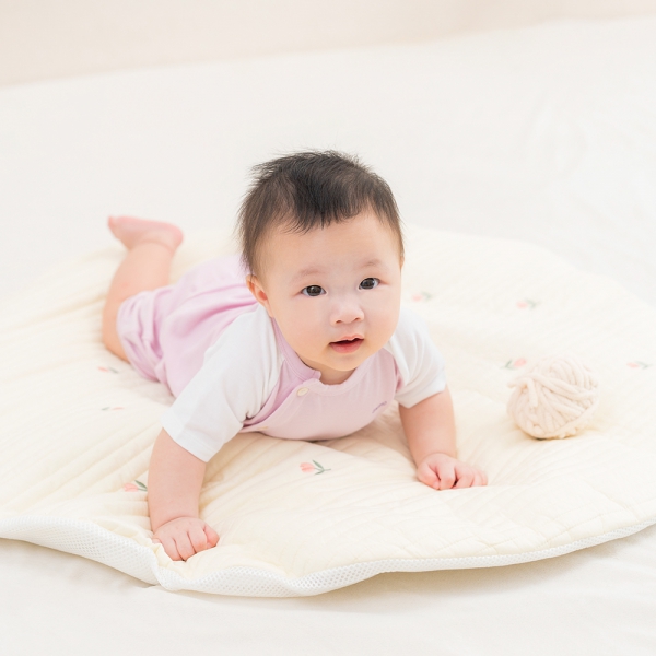 Set 2 Bộ modal kháng khuẩn ngắn Animo VD1024008 (0-24M,Tím)