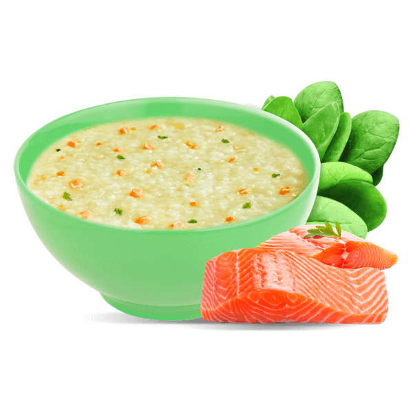 Combo 5 gói Cháo tươi Baby cá hồi cải bó xôi, SG Food, 10 tháng, 240g