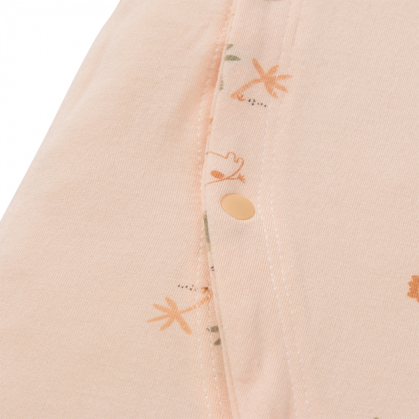 Set 2 Bodysuit kháng khuẩn Modal đùi Animo BMC1024027 (0-12M,Cam)