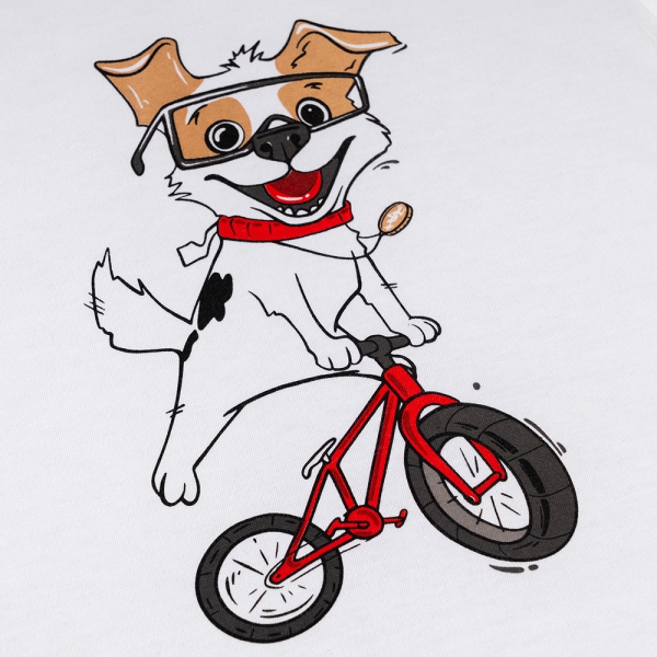 Combo 2 Áo bé trai tay ngắn Animo Easy HN0325063 (1Y,Trắng,NN01)