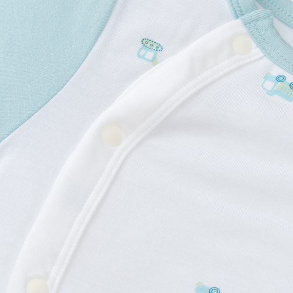 Set 2 Bodysuit modal kháng khuẩn đùi Animo VD0225021 (0-12M,Lá-trắng,TT06)