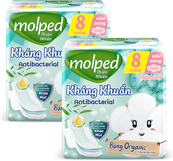 Combo 2 Băng vệ sinh Molped Kháng Khuẩn 8 miếng
