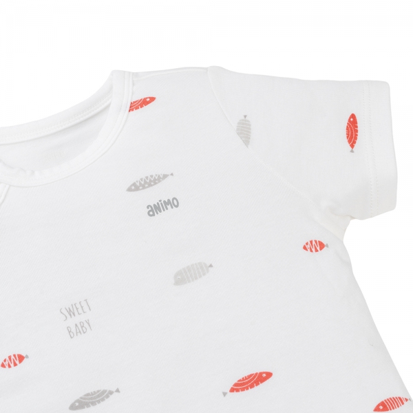 Bộ modal kháng khuẩn ngắn Animo HR VD0525062 (0-6M, Trắng)