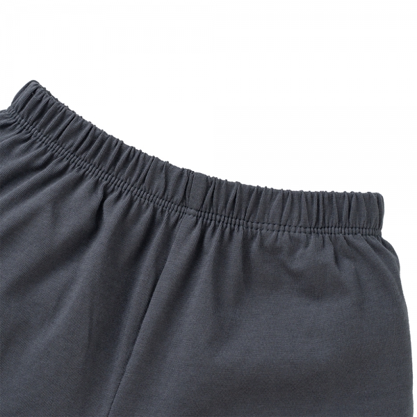 Bộ bé trai ngắn Animo Easy HN0325047 (1-4Y,Lá-xám,TT02)