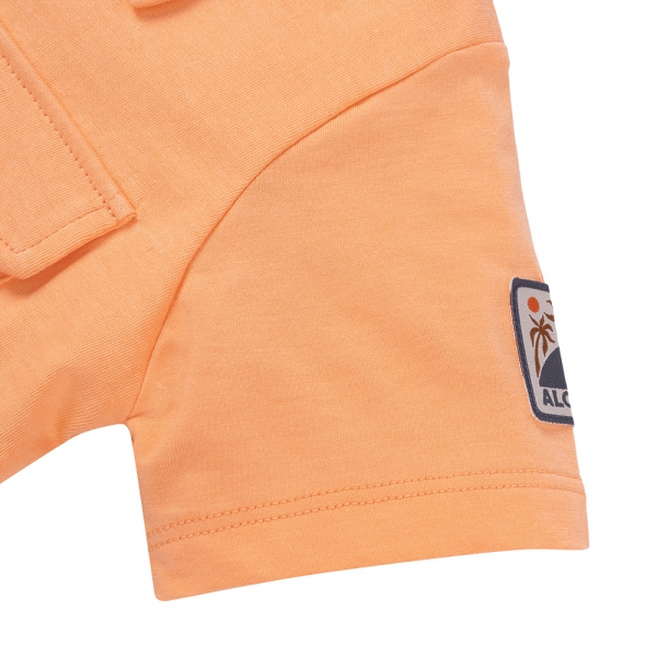 Bộ bé trai áo tay ngắn quần ngắn aloha Animo (1-6Y) HN0625007