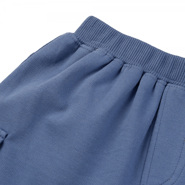 Bộ bé trai áo tay ngắn quần ngắn aloha Animo (1-6Y) HN0625005