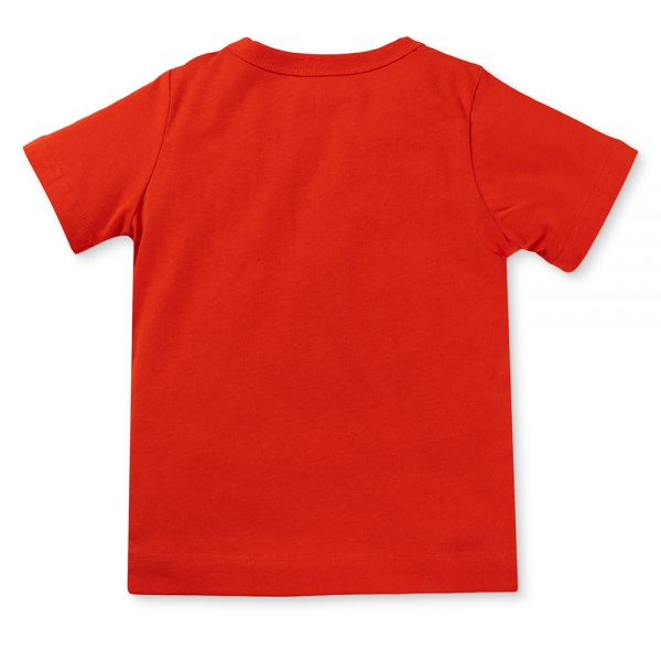 Bộ bé trai áo tay ngắn quần ngắn Animo easy (1-4Y) HN0525046