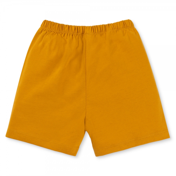 Bộ bé trai ngắn Animo Easy ST0425062 (1-4Y,Vàng-trắng,TT02)