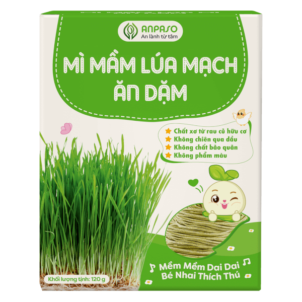 Combo 2 Mì mầm lúa mạch ăn dặm cho bé Anpaso 120g