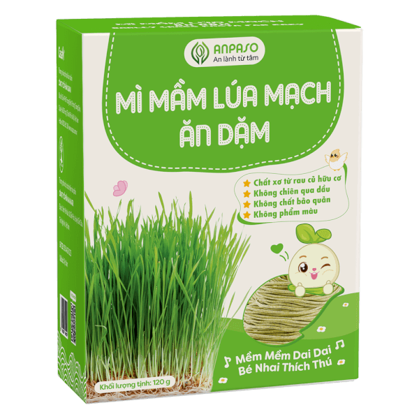 Combo 2 Mì mầm lúa mạch ăn dặm cho bé Anpaso 120g