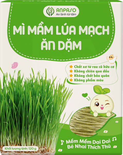Mì mầm lúa mạch ăn dặm cho bé Anpaso 120g