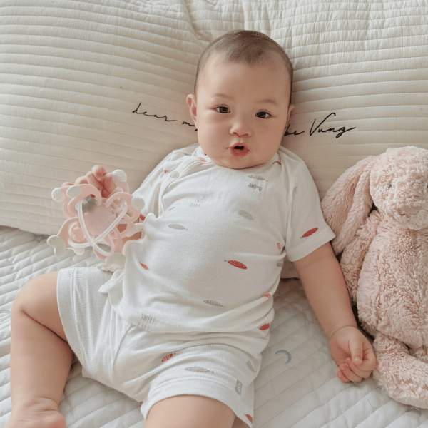 Bộ modal kháng khuẩn ngắn Animo HR VD0625010 (0-6M,Xám-trắng,NN06)