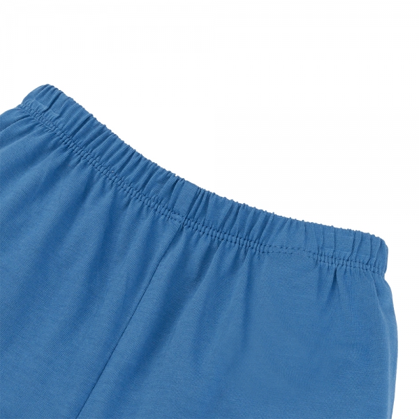 Bộ bé trai áo tay ngắn quần ngắn Animo easy(1-4Y) HN0525053