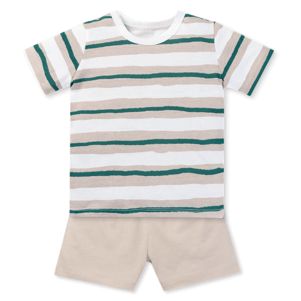 Bộ bé trai áo tay ngắn quần ngắn Animo easy (1-4Y) HN0725022