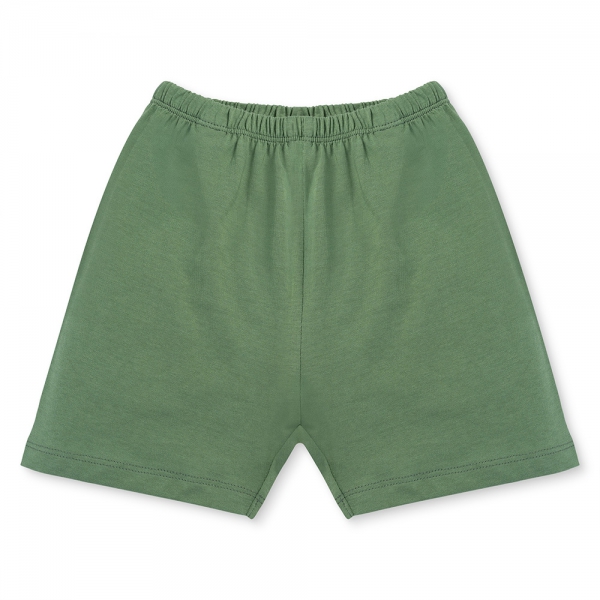 Bộ bé trai áo tay ngắn quần ngắn Animo easy (1-4Y) HN0725021