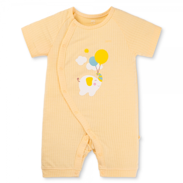 Set 2 bodysuit rayon chống muỗi đùi Animo VD0825028 (0-12M,Vàng-xanh,TT06)